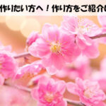 歌集を作りたい方へ！作り方をご紹介します！